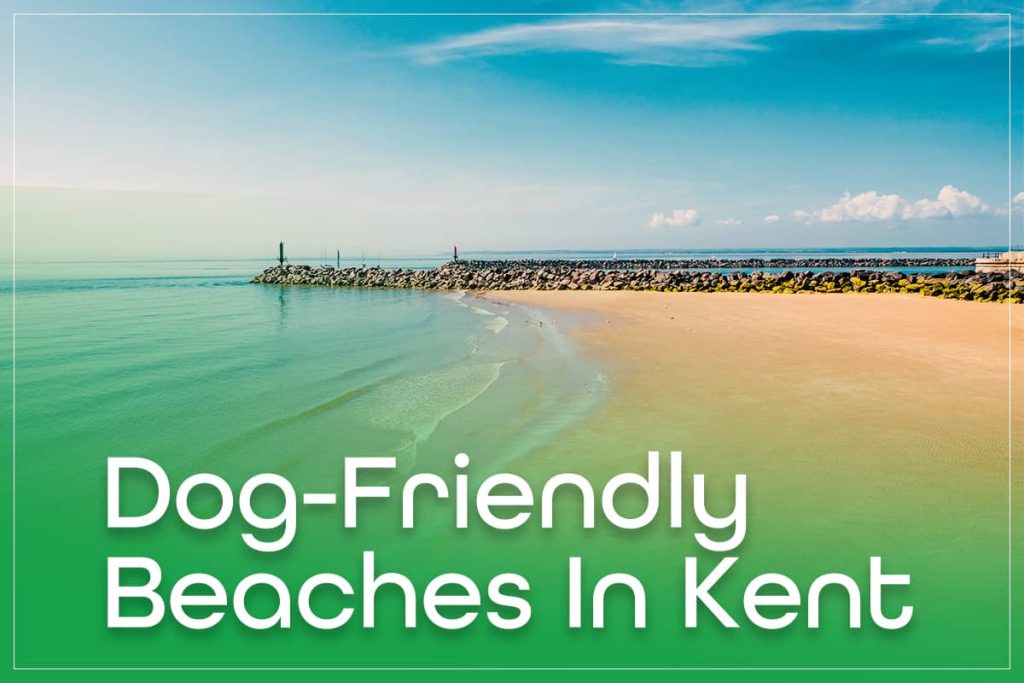 Dog-Friendly Beaches In Kent