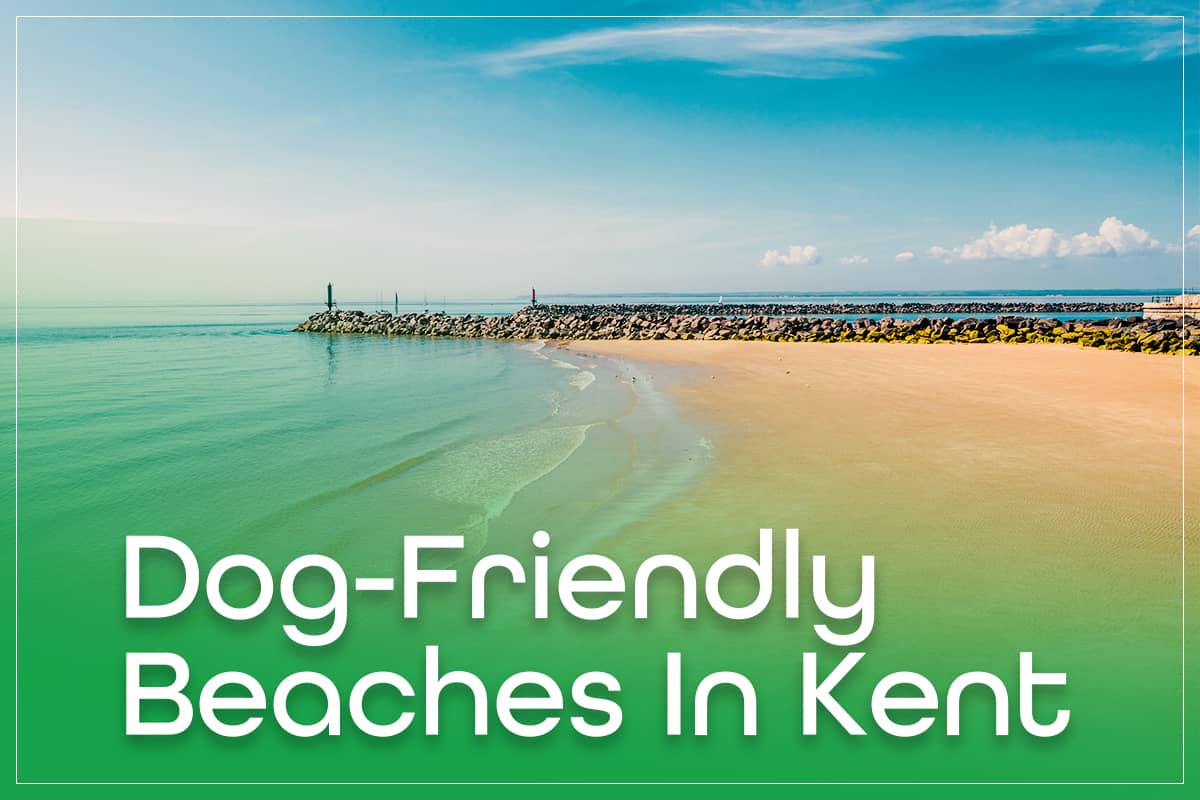 Dog-Friendly Beaches In Kent